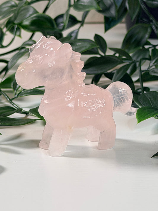 Rozenkwarts paardje P4