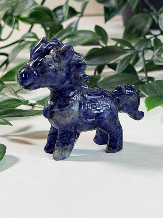 Sodaliet paardje P10