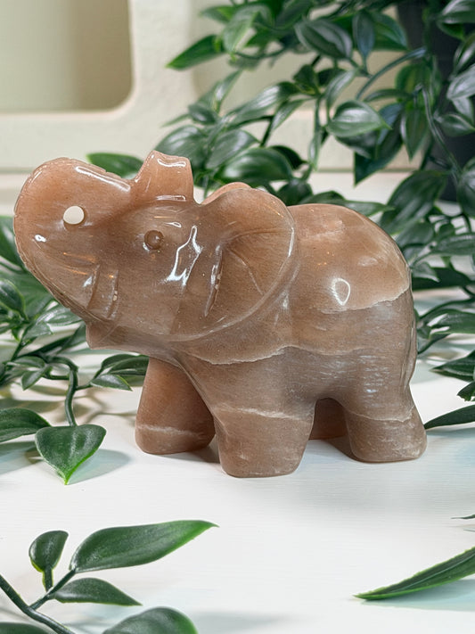 Perzik Maansteen olifant O2