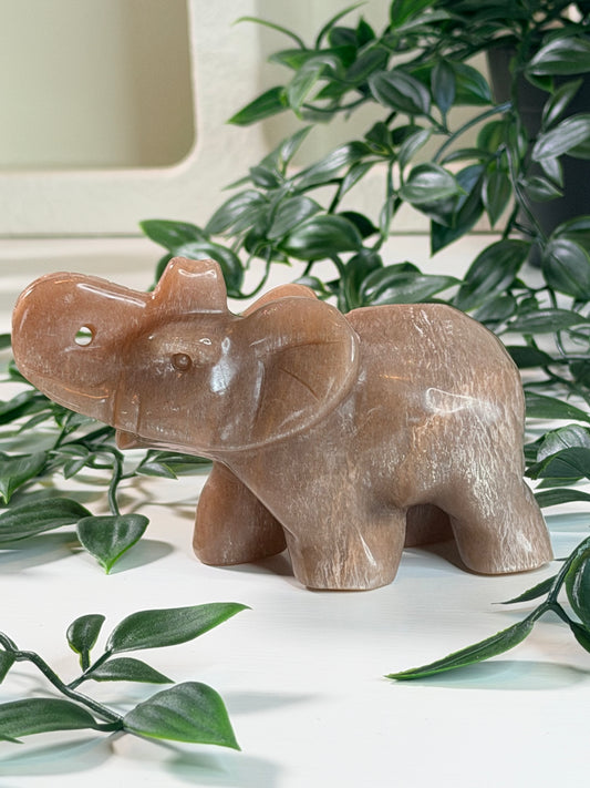 Perzik Maansteen olifant O3