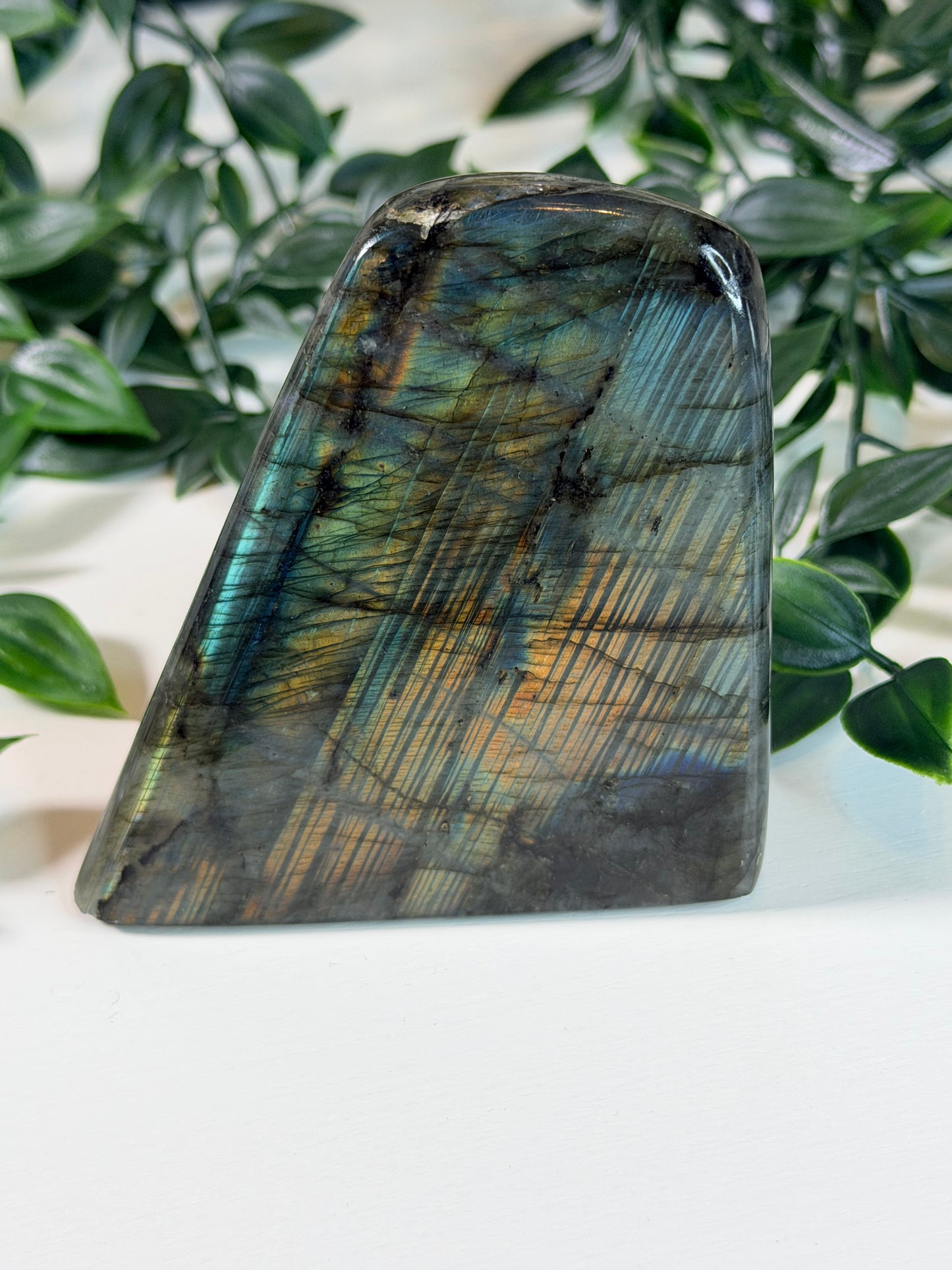 Labradoriet Freeform L1