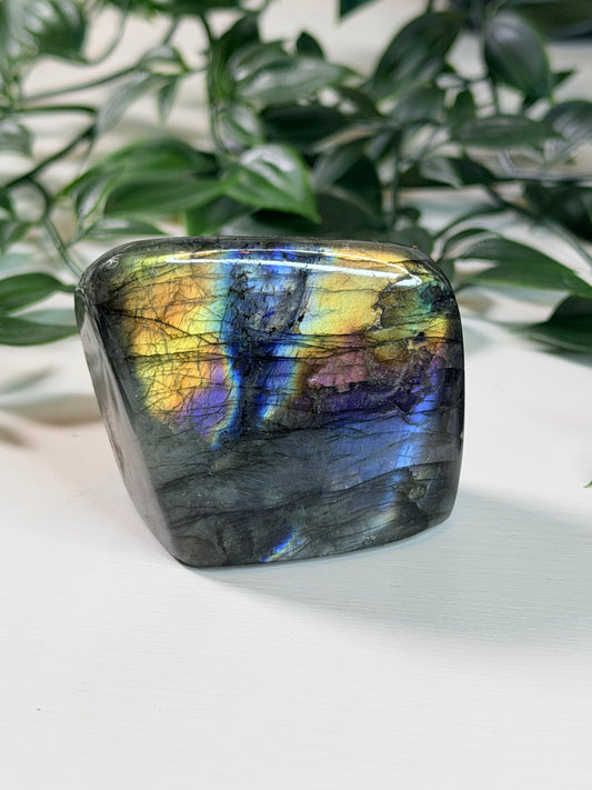 Labradoriet Freeform L4