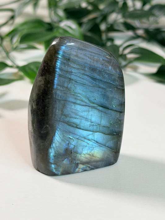 Labradoriet Freeform L5