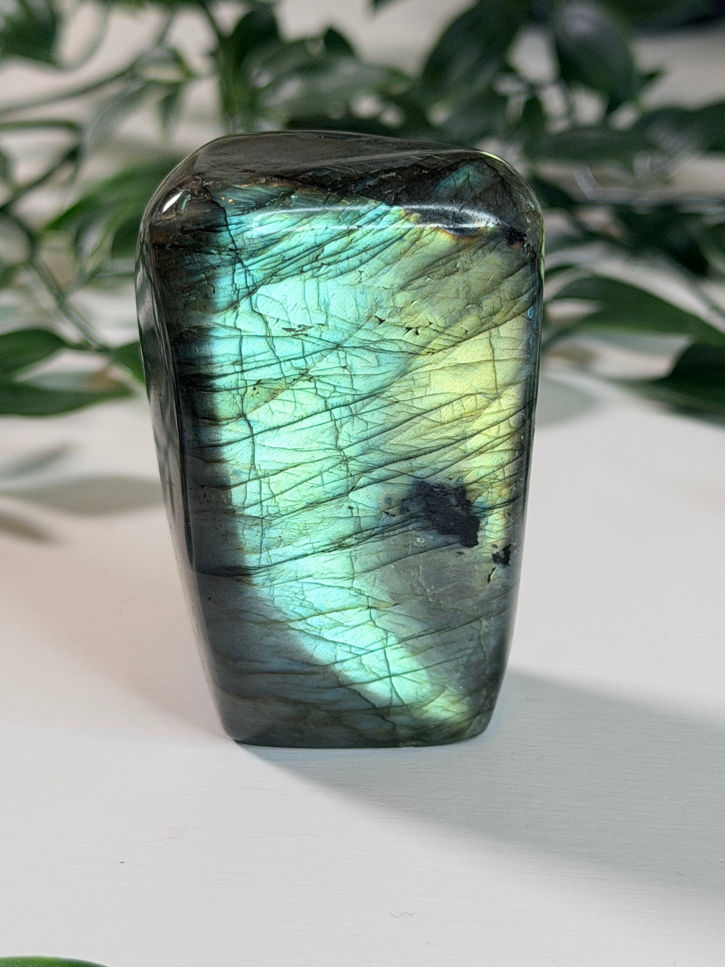 Labradoriet Freeform L6