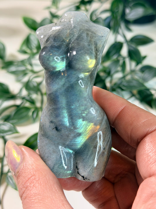 Labradoriet lady body L1