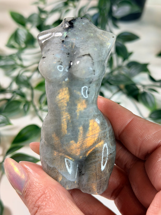 Labradoriet lady body L2