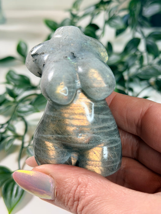 Labradoriet lady body L6