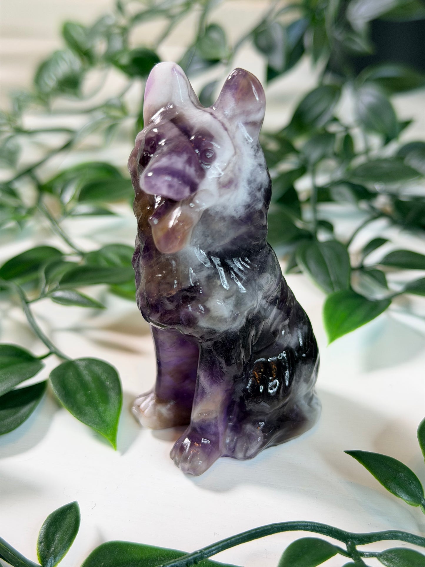 Chevron Amethist herdershond