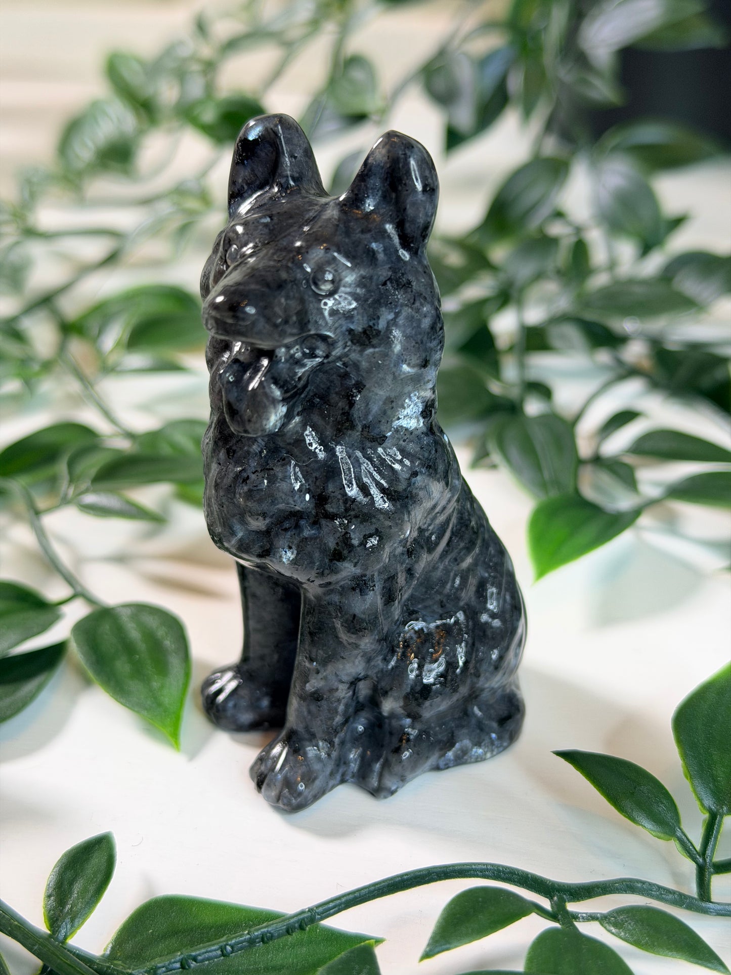 Larvikiet herdershond