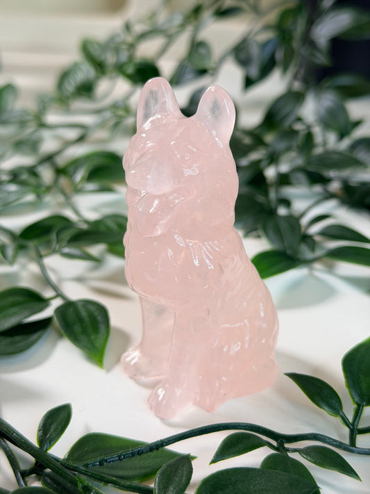 Rozenkwarts herdershond