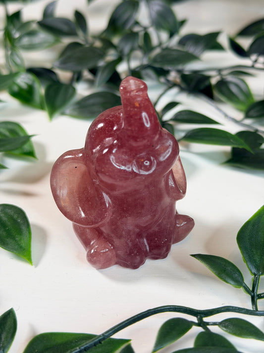 Aardbeienkwarts olifant