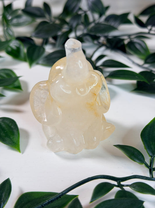 Golden Healer olifant 1