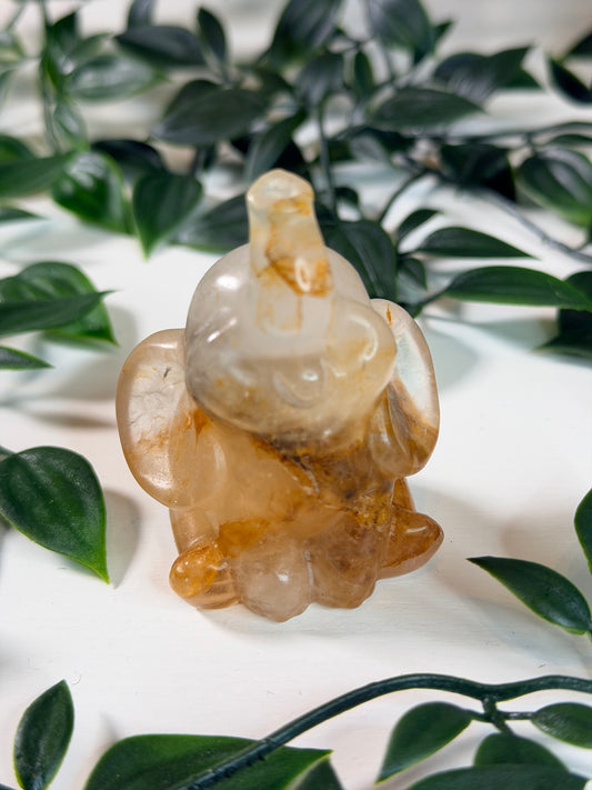 Golden healer olifant 2